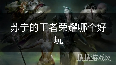 苏宁的王者荣耀哪个好玩