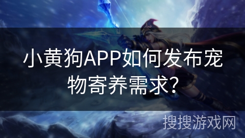 小黄狗APP如何发布宠物寄养需求？