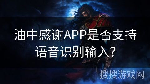 油中感谢APP是否支持语音识别输入？