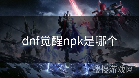 dnf觉醒npk是哪个