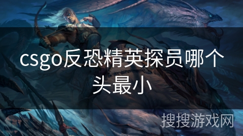 csgo反恐精英探员哪个头最小