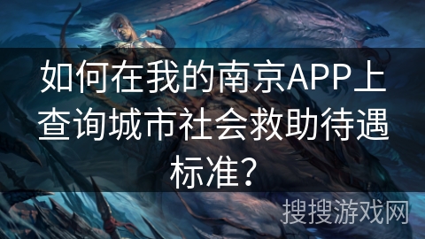 如何在我的南京APP上查询城市社会救助待遇标准？