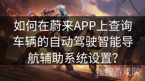 如何在蔚来APP上查询车辆的自动驾驶智能导航辅助系统设置？
