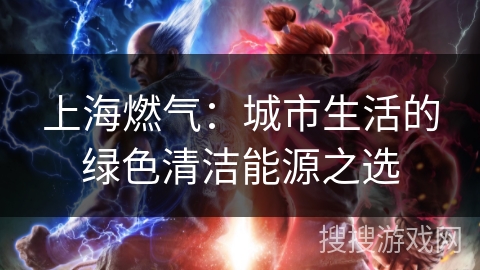 上海燃气：城市生活的绿色清洁能源之选