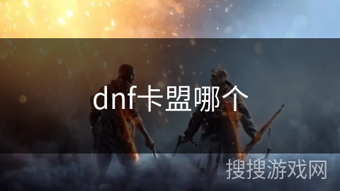 dnf卡盟哪个