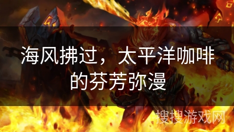 海风拂过，太平洋咖啡的芬芳弥漫