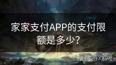 家家支付APP的支付限额是多少？