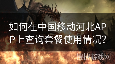 如何在中国移动河北APP上查询套餐使用情况？
