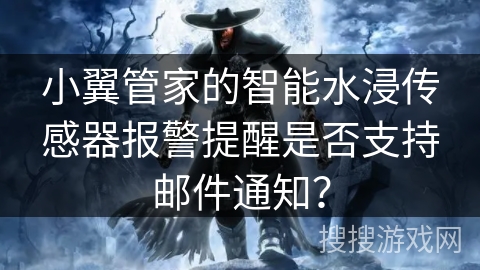 小翼管家的智能水浸传感器报警提醒是否支持邮件通知？
