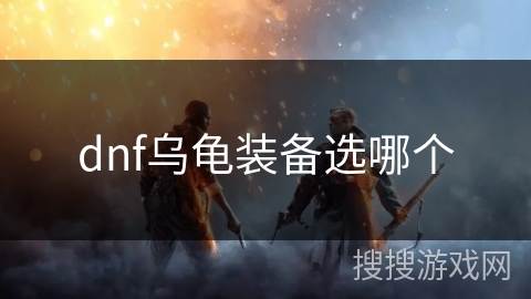 dnf乌龟装备选哪个