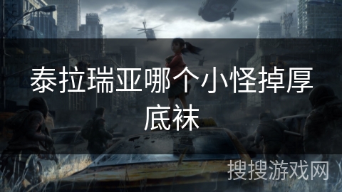 泰拉瑞亚哪个小怪掉厚底袜