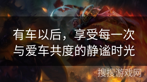 有车以后，享受每一次与爱车共度的静谧时光