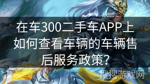 在车300二手车APP上如何查看车辆的车辆售后服务政策？