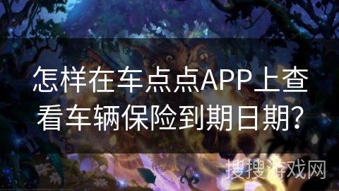 怎样在车点点APP上查看车辆保险到期日期？