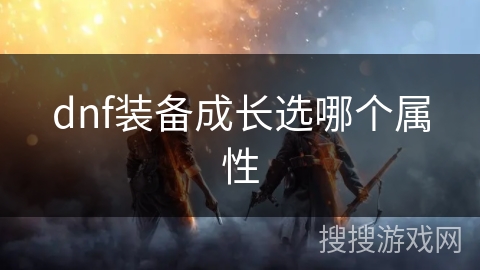dnf装备成长选哪个属性