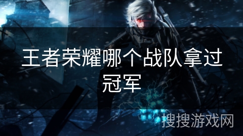 王者荣耀哪个战队拿过冠军