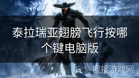 泰拉瑞亚翅膀飞行按哪个键电脑版