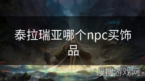 泰拉瑞亚哪个npc买饰品