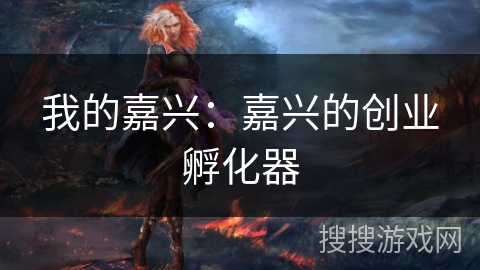 我的嘉兴：嘉兴的创业孵化器