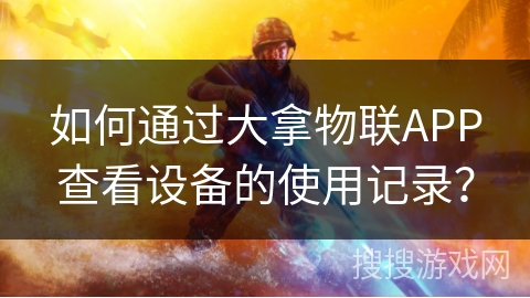 如何通过大拿物联APP查看设备的使用记录？