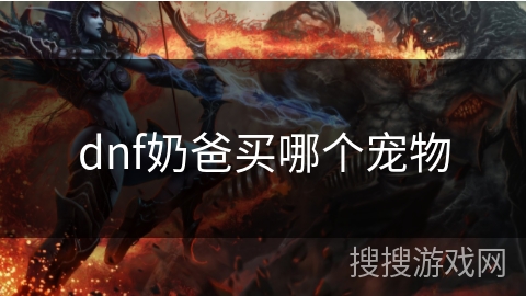 dnf奶爸买哪个宠物