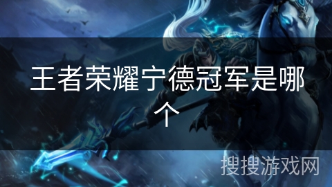 王者荣耀宁德冠军是哪个