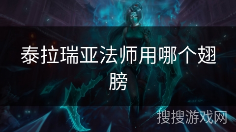 泰拉瑞亚法师用哪个翅膀