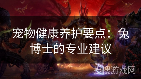 宠物健康养护要点：兔博士的专业建议