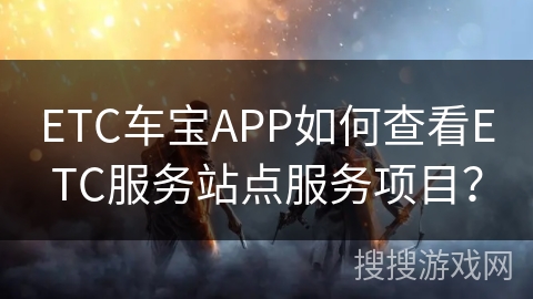 ETC车宝APP如何查看ETC服务站点服务项目？
