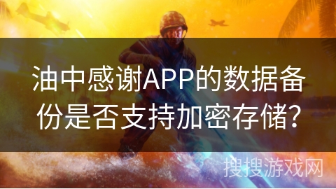油中感谢APP的数据备份是否支持加密存储？