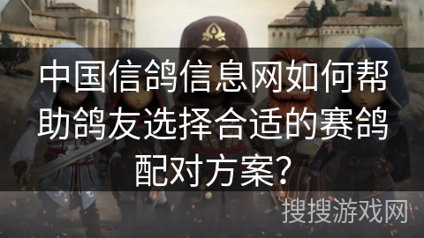 中国信鸽信息网如何帮助鸽友选择合适的赛鸽配对方案？