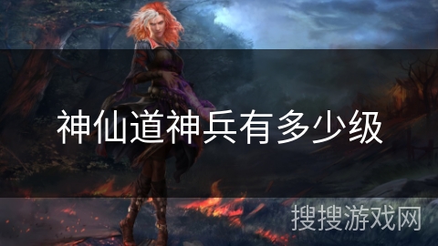 神仙道神兵有多少级
