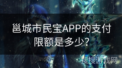 邕城市民宝APP的支付限额是多少？