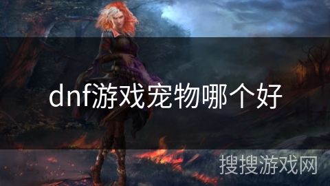 dnf游戏宠物哪个好 dnf游戏宠物哪个好