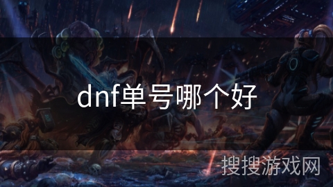 dnf单号哪个好