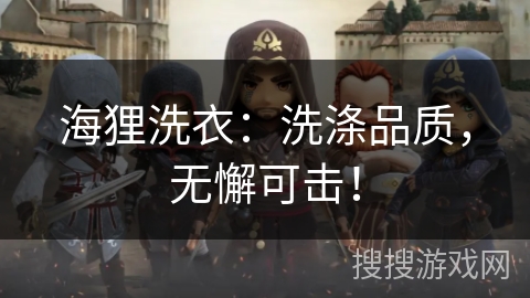 海狸洗衣:洗涤品质,无懈可击! 海狸洗衣:洗涤品质,无懈可击!