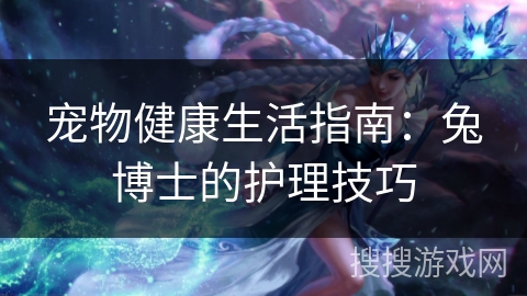 宠物健康生活指南：兔博士的护理技巧