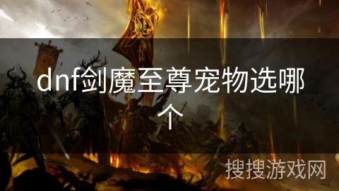 dnf剑魔至尊宠物选哪个