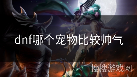 dnf哪个宠物比较帅气