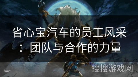 省心宝汽车的员工风采：团队与合作的力量