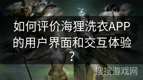 如何评价海狸洗衣APP的用户界面和交互体验？