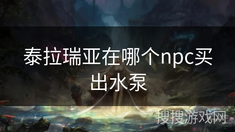 泰拉瑞亚在哪个npc买出水泵