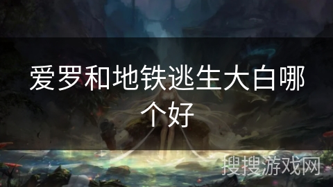 爱罗和地铁逃生大白哪个好