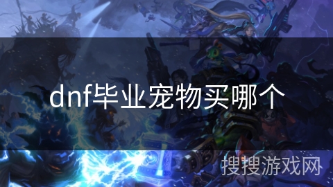 dnf毕业宠物买哪个