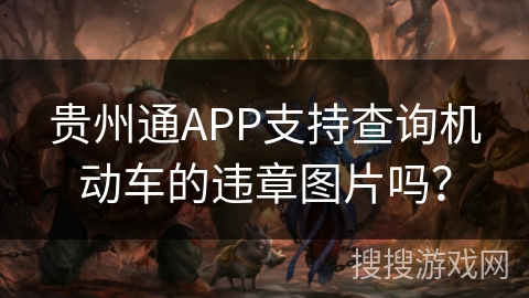 贵州通APP支持查询机动车的违章图片吗？