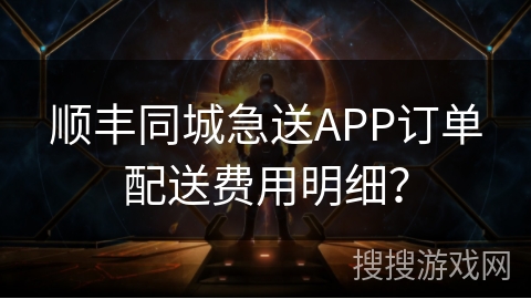 顺丰同城急送APP订单配送费用明细？