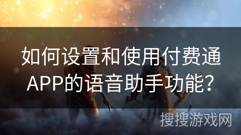 如何设置和使用付费通APP的语音助手功能？