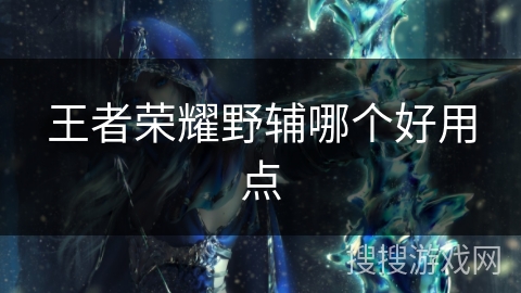 王者荣耀野辅哪个好用点 王者荣耀野辅哪个好用点