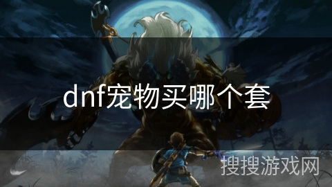 dnf宠物买哪个套 dnf宠物买哪个套
