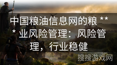 中国粮油信息网的粮 *** 业风险管理:风险管理,行业稳健 中国粮油信息网的粮 *** 业风险管理:风险管理,行业稳健
